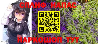 ГАЛЛЮЦИНОГЕННЫЕ ГРИБЫ Свободный