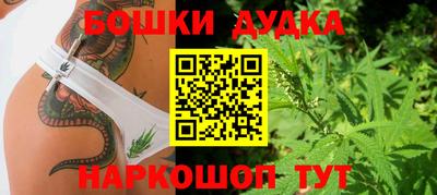PSILOCYBIN Северобайкальск