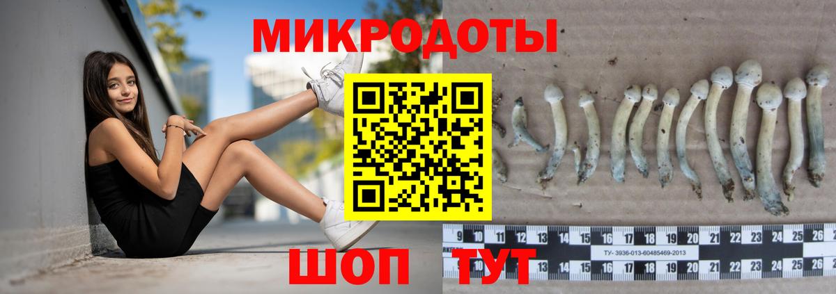 Печора  Галлюциногенные грибы GOLDEN TEACHER  Вход с VPN 